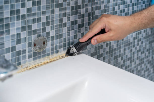 Best Local Mold Removal Service  in Somerdale, NJ
