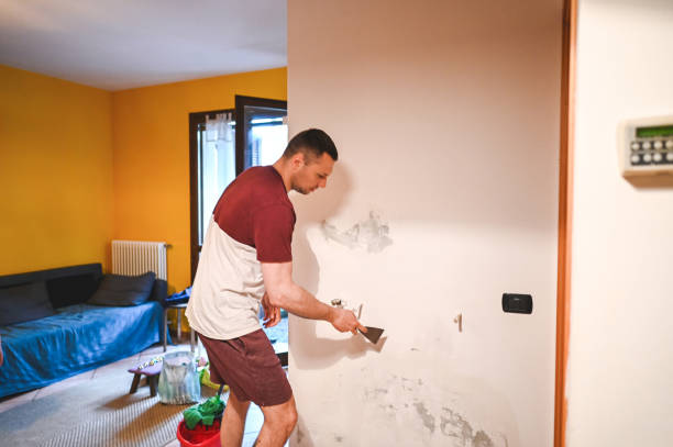 Best Emergency Mold Removal  in Somerdale, NJ